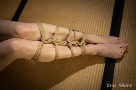 hashi shibari